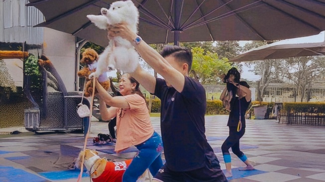 Pet Kingdom & Paw Friends Berhasil Kumpulkan 13 Ton Makanan untuk 17 Shelter di Indonesia