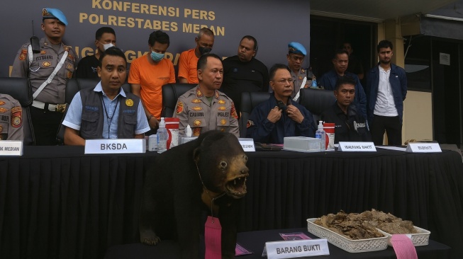 Polrestabes Medan Buru Penjual Offset Beruang Madu, Mau Dijual ke AS