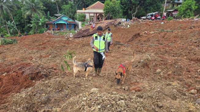 Aksi Heroik 10 Anjing Pelacak K9, Endus Jejak Korban Longsor Maut di Cilacap