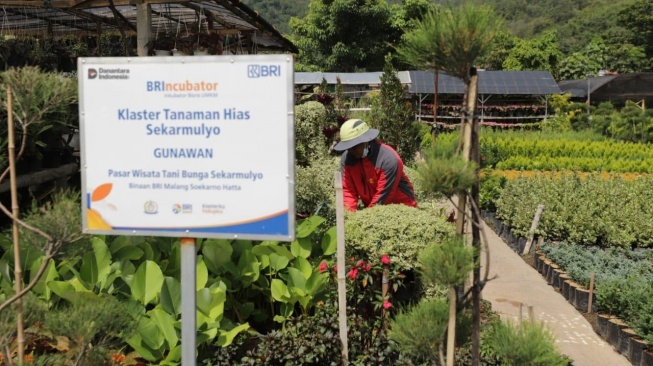 Holding UMi Aktif Dampingi Pelaku Usaha Mikro Agar Naik Kelas