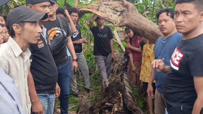 Terungkap! Identitas Kerangka dalam Pohon Aren di Sergai Adalah Yuda Prawira, Hilang 2 Tahun