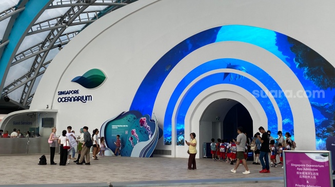 Jurnalis Suara.com berkesempatan berkunjung ke Singapore Oceanarium. [Tiara Rosana/Suara.com]