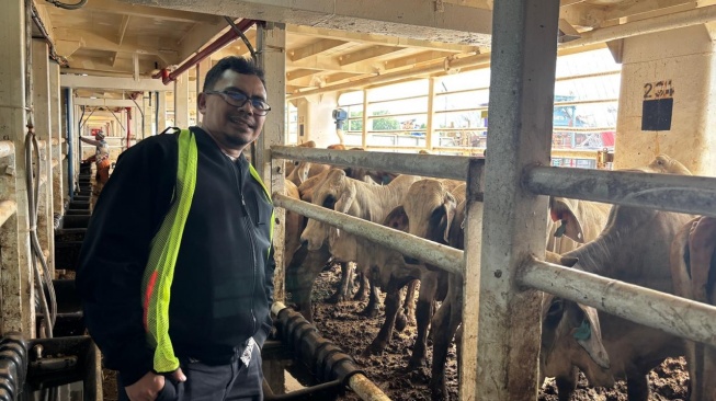 Prospek Industri Peternakan Cerah, Pasar Pakan Ternak Diproyeksikan Capai USD 12,5 Miliar pada 2033