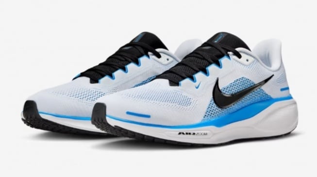 Nike Pegasus 41 (Nike)