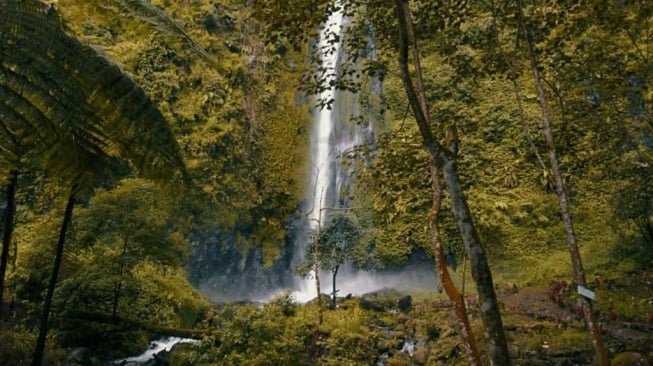 Pemkab Jember Siapkan Air Terjun Tancak  Sebagai Destinasi Unggulan Baru