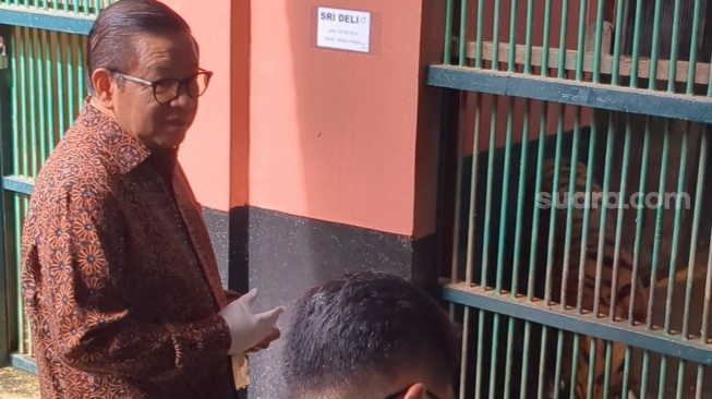 Pramono Ungkap Ada Orang Tidak Senang Ragunan Bersolek, Siapa?