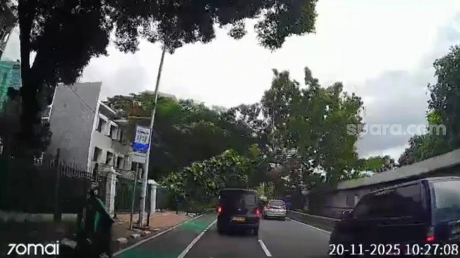 Detik-detik Pohon Raksasa Tumbang di Sisingamangaraja: Jalan Macet, Pengendara Panik Menghindar!