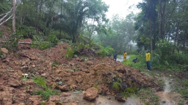 8 Kecamatan di Agam Terdampak Bencana, Curah Hujan Ekstrem Picu Longsor dan Banjir!
