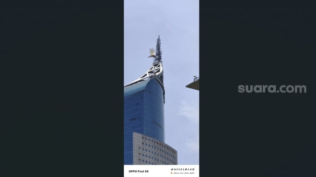 Hasil kamera Oppo Find X9. [Suara.com/Dythia]