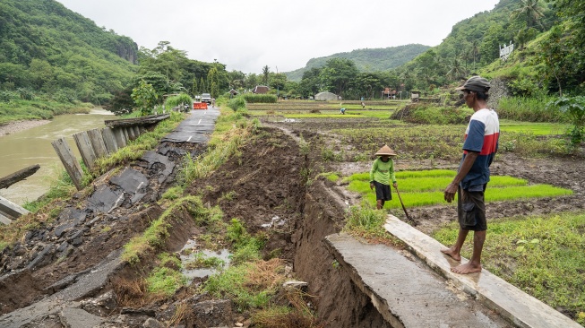Petani menggarap sawah di dekat jalan penghubung desa yang amblas di Sriharjo, Bantul, DI Yogyakarta, Rabu (26/11/2025). [ANTARA FOTO/Hendra Nurdiyansyah/foc]