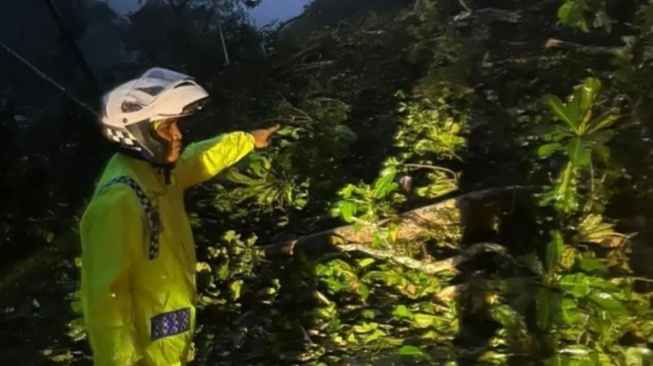 Jalan Lintas Padang-Bukittinggi Longsor, Jalur Lembah Anai Tak Bisa Dilewati