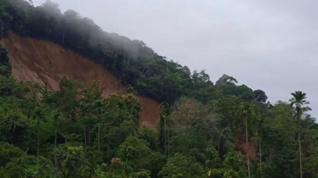 7 Warga Pasaman Barat Tertimbun Longsor, 1 Orang Selamat!