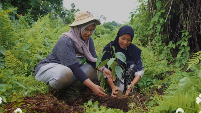 Dari Keseimbangan Rumah Tangga ke Konservasi Hutan: Kisah Pemberdayaan Perempuan Penanam Pohon