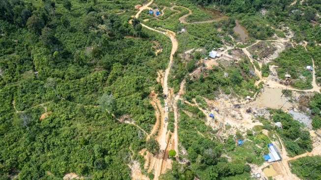 Foto udara tempat penambangan minyak ilegal di perbatasan Hutan Harapan, Desa Sako Suban, Musi Banyuasin, Sumatera Selatan, Kamis (27/11/2025). [ANTARA FOTO/Wahdi Septiawan/agr]