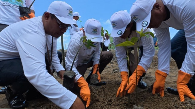 Komitmen PNM Hijaukan Negeri: Menumbuhkan Harapan dari Akar Bumi