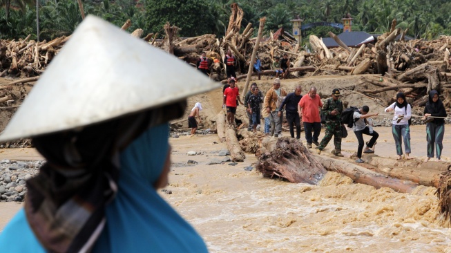 Viral Banjir Sumatera Bawa Ribuan Kayu Gelondongan, DPR Desak Pemerintah Bentuk Tim Investigasi