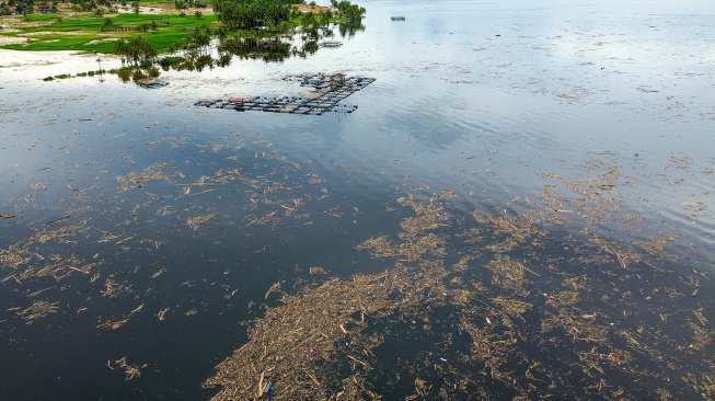 Foto udara sampah dari kayu gelondongan yang hanyut di danau Singkarak di Nagari Muaro Pingai, Kabupaten Solok, Sumatera Barat, Minggu (30/11/2025). [ANTARA FOTO/Wawan Kurniawan/Lmo/nz]