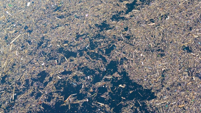 Foto udara sampah dari kayu gelondongan yang hanyut di danau Singkarak di Nagari Muaro Pingai, Kabupaten Solok, Sumatera Barat, Minggu (30/11/2025). [ANTARA FOTO/Wawan Kurniawan/Lmo/nz]