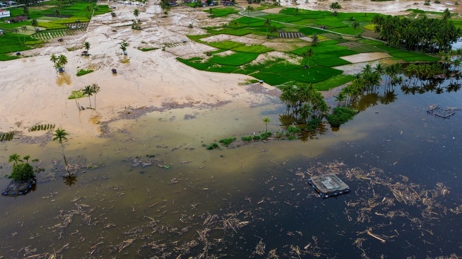 Foto udara sampah dari kayu gelondongan yang hanyut di danau Singkarak di Nagari Muaro Pingai, Kabupaten Solok, Sumatera Barat, Minggu (30/11/2025). [ANTARA FOTO/Wawan Kurniawan/Lmo/nz]