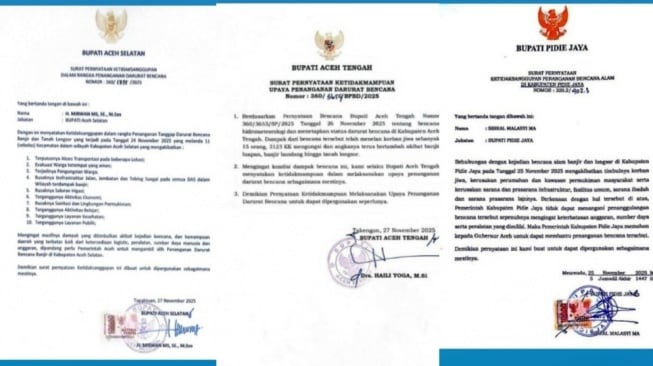Tiga Bupati Aceh Kompak Angkat Tangan! Minta Bantuan Provinsi karena Bencana Sudah 'Di Luar Kendali' (Instagram)