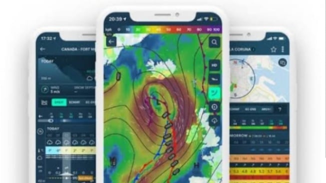 Apa Itu Windy? Aplikasi Canggih Prakiraan Cuaca hingga Bencana Alam Real Time
