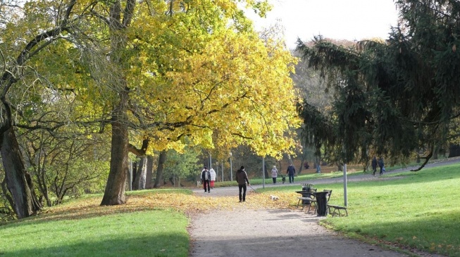 Ilustrasi menghabiskan waktu di alam (Pexels/Roman Biernacki)