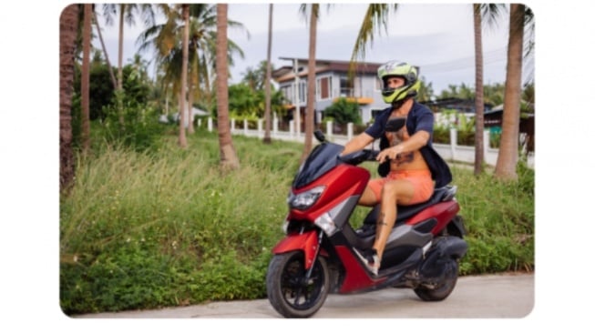 7 Rekomendasi Motor Bekas Matic Harga Rp 5 Jutaan, Irit BBM Murah Perawatan
