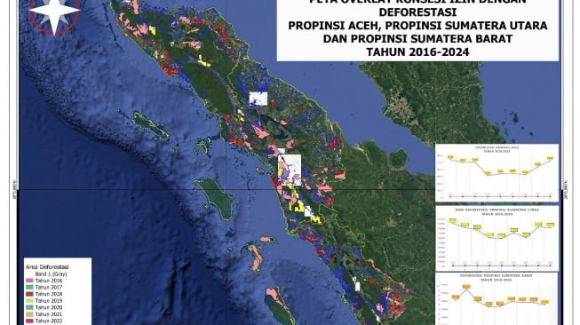 1,4 juta hektare hutan di Aceh, Sumatra Utara, dan Sumatra Barat terdeforestasi (2016-2025). (Dok. WALHI)