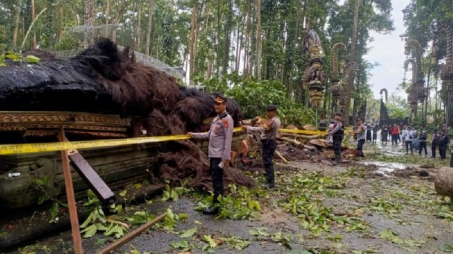 Pemandu Wisata Tewas Tertimpa Pohon Tumbang di Sangeh