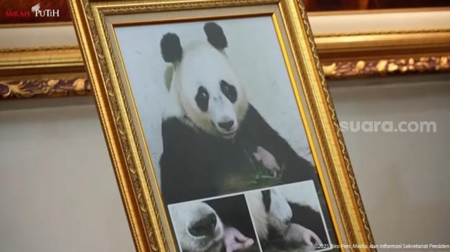 Istana memajang foto panda. (tangkap layar/ist)