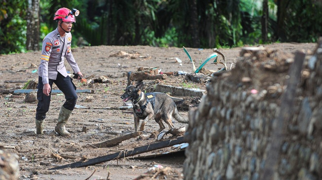 Pawang Unit K-9 Polri menggunakan anjing pelacak untuk mencari korban banjir bandang di Nagari Salareh Aia Timur, Palembayan, Agam, Sumatera Barat, Senin (8/12/2025). [ANTARA FOTO/Wahdi Septiawan/nz]
