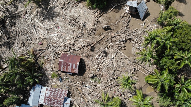 Sejumlah Gajah Sumatera (Elephas maximus sumatranus) jinak yang ditunggangi mahout membersihkan puing kayu yang menutupi jalan dan pemukiman warga akibat bencana alam di Desa Meunasah Bie, Pidie Jaya, Aceh, Senin (8/12/2025). [ANTARA FOTO/Irwansyah Putra/nz]