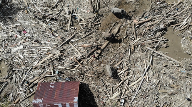 Jejak Misterius PT Minas Pagai Lumber, Ribuan Kayu 'Berstempel' Kemenhut Terdampar di Lampung