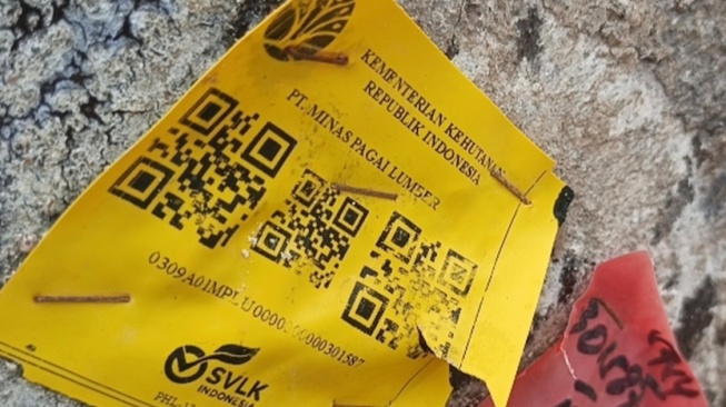 PT Minas Pagai Lumber Punya Kaitan Sosok Haji Juragan Kayu, Siapa Pemiliknya?