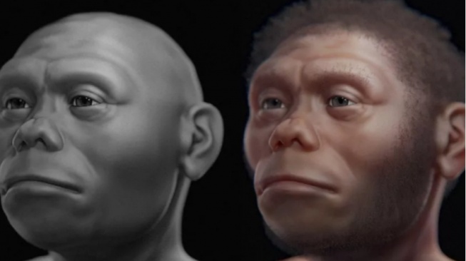 Perubahan Iklim dan Letusan Gunung Jadi Penyebab Punahnya Hobbit Flores