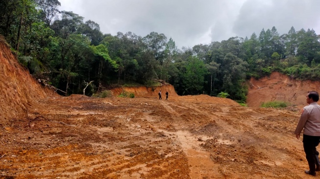 Hutan Lindung Tombolopao Gowa Gundul Diduga Akibat Ilegal Logging