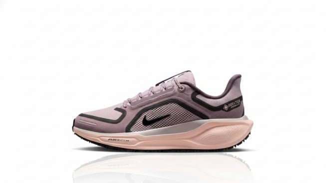 Nike Pegasus 41 GORE-TEX (Brand)