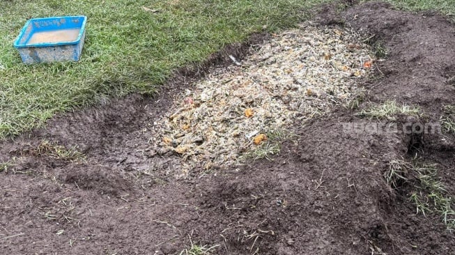 Satuan Pelayanan Pemenuhan Gizi (SPPG) Mutiara Keraton Solo di Bogor menerapkan konsep pengelolaan sampah Program Makan Bergizi Gratis (MBG) secara mandiri berbasis pemanfaatan ulang bahan organik. (Suara.com/Lilis)