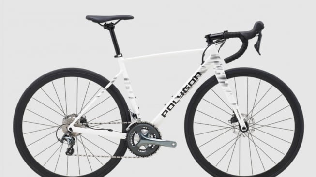Strattos S4D (Polygonbikes)