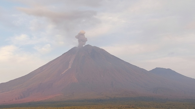 Gunung Semeru Erupsi 11 Kali Sehari, Kolom Abu Capai 1 Kilometer di Atas Puncak