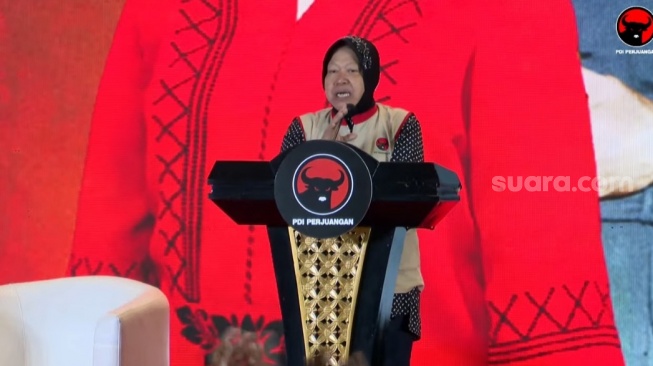 Eks Mensos Tekankan Pentingnya Kearifan Lokal Hadapi Bencana, Belajar dari Simeulue hingga Sumbar