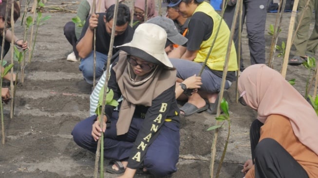 Saat Sketsa dan Tulisan Berubah Jadi Aksi Menjaga Mangrove di Pantai Baros
