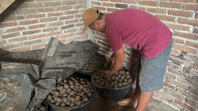 Omzet Perajin Telur Asin Melonjak hingga 4.000 Persen Berkat Program MBG