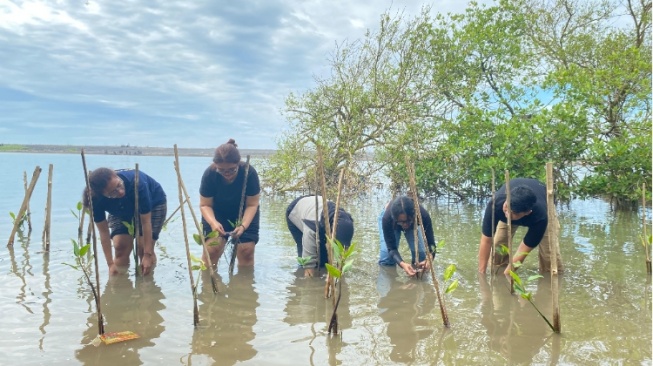 Upaya Pemuda Pantai Baros Jaga Ekosistem Pesisir dari Ancaman Abrasi