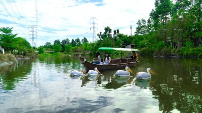 Liburan Seru dan Edukatif! Intip Birdshow Spektakuler dan Wahana Seru di Aviary Park Indonesia (Dok. Istimewa)