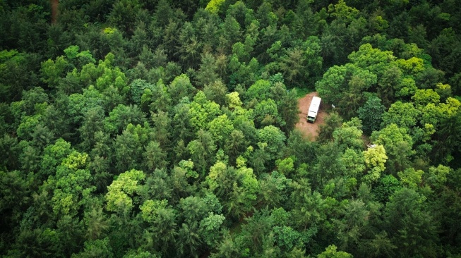 Reklamasi:  Saat Kewajiban Hukum Bertransformasi Menjadi Komitmen Pemulihan Ekosistem