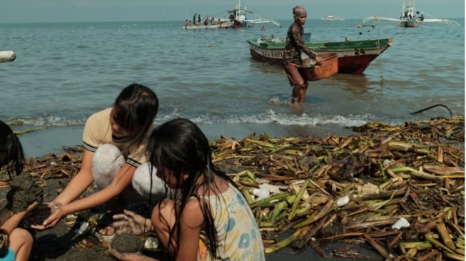 Pesisir: Hidup di Ujung Negeri, Bertahan Tanpa Tepuk Tangan