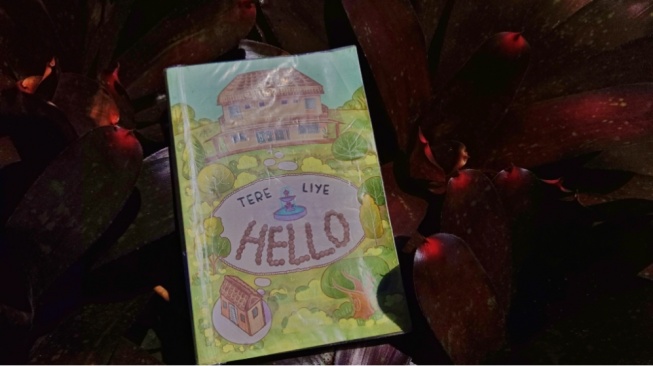Ulasan Novel Hello Karya Tere Liye: Cinta, Rumah, dan Kesalahpahaman