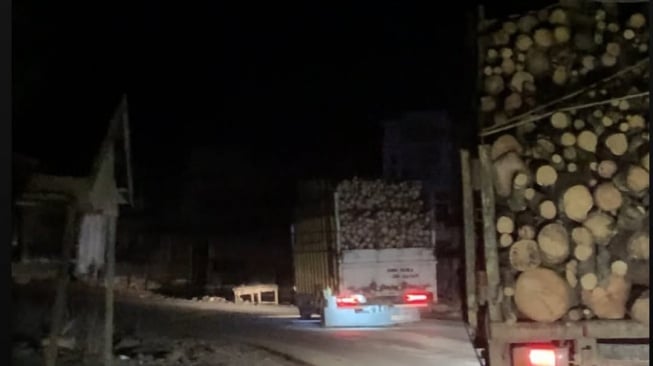 Rekaman Tengah Malam Viral, Bongkar Aktivitas Truk Kayu di Jalan Lintas Medan-Banda Aceh