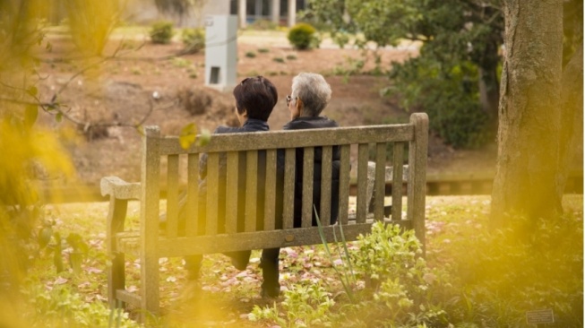 Nasib Generasi Sandwich: Roti Tawar yang Kehilangan Cita-Cita